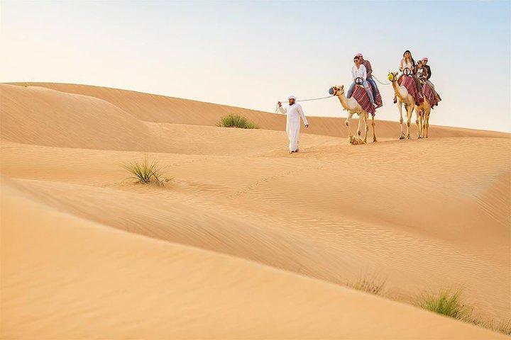 Dubai Red Dunes morgensafari med kameltur