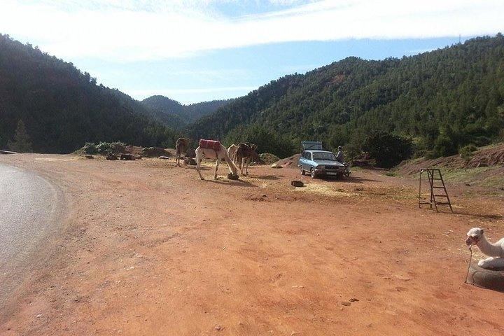 3 Valleys & Atlas Mountains Day Trip From Marrakech