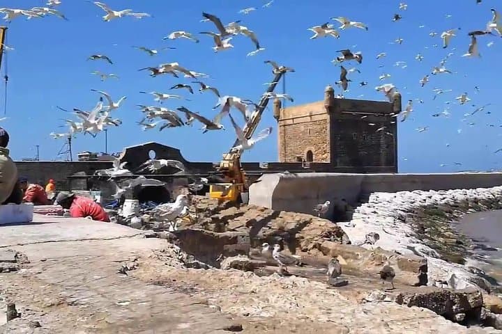 Essaouira Day Departure From Marrakech