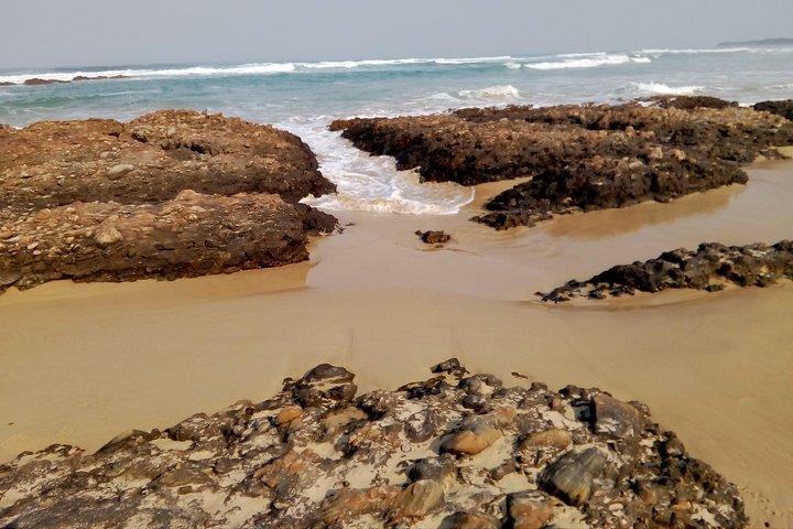 Caminata marina guiada: - Bahía de Cerdeña (área marina protegida) - 2 horas