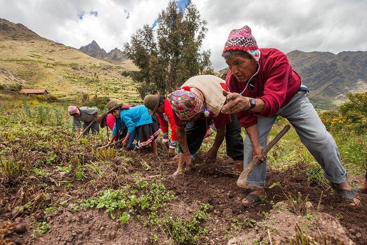 Día de la Comunidad Lamay (Salida en grupo)