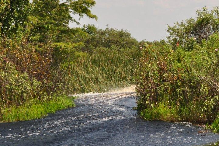 1 time Everglades Airboat Tour Orlando Florida