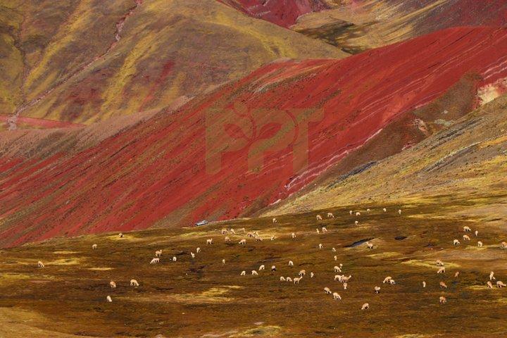 Alternative Rainbow Mountain - Palcoyo Mountain Touren