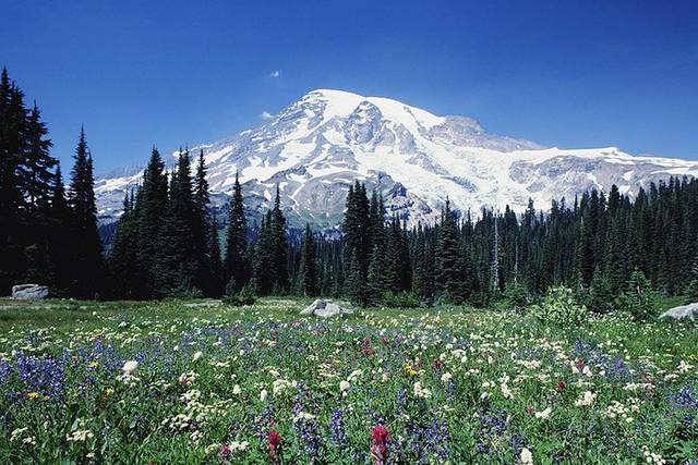 Mount Rainier