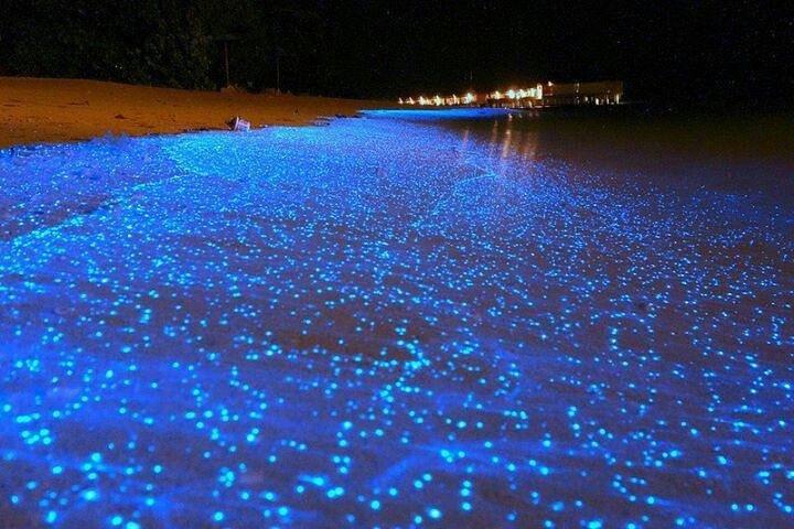Tour a la Laguna Luminosa desde Grand Palladium