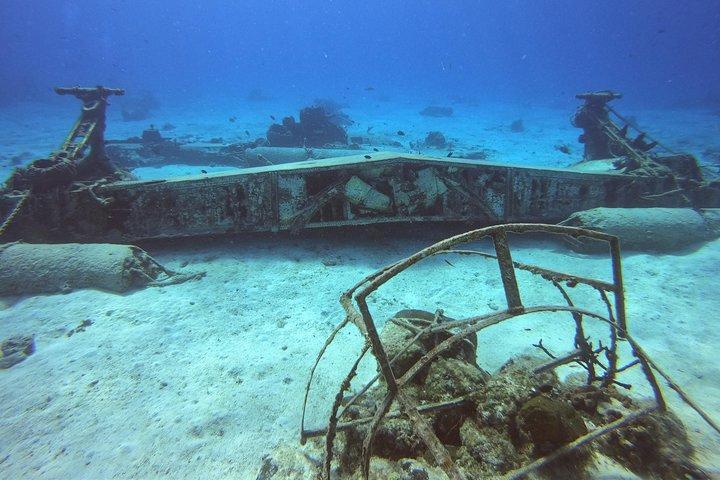 1 Tank Guided Shore Dive for Certified Divers Including Equipment