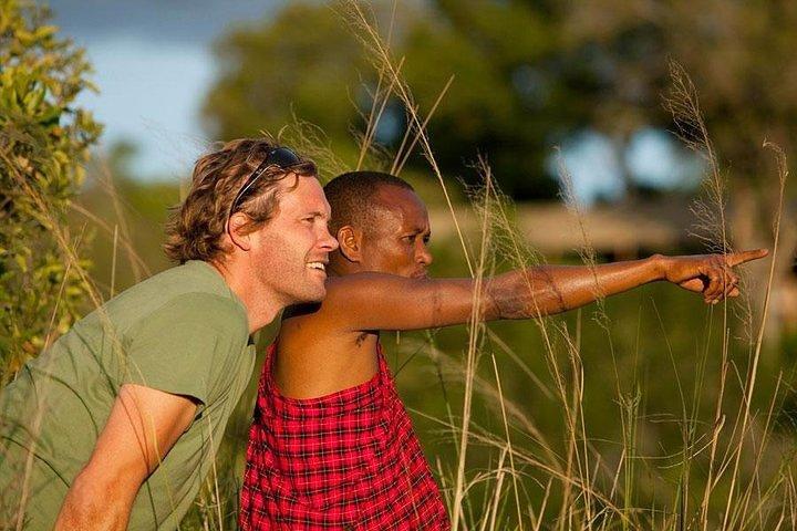 4 giorni Maasai Mara-Nakuru Mid-Range