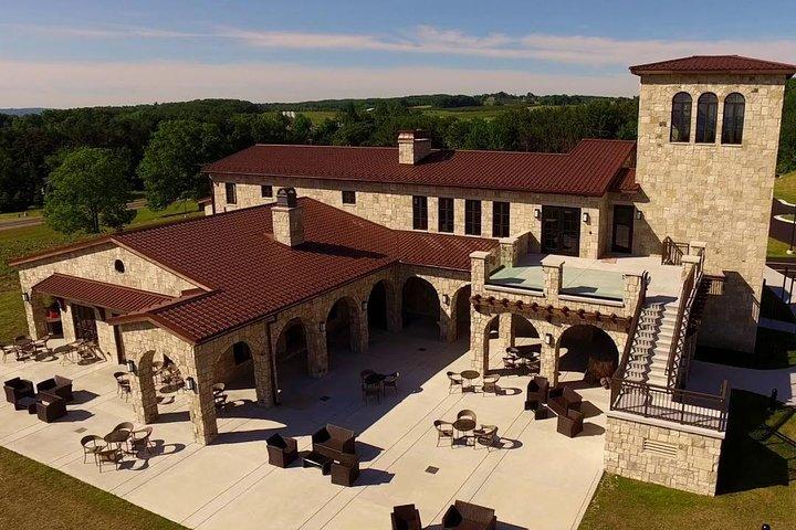 Excursão Traverse City Wine de 5 horas: 4 vinícolas na Old Mission Peninsula
