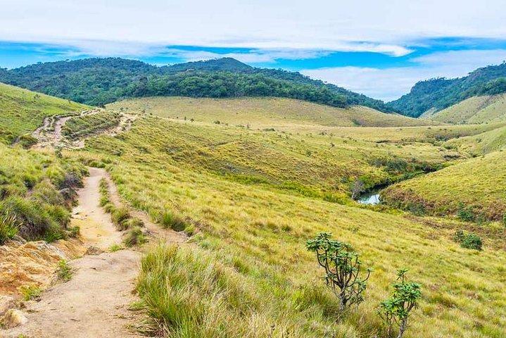 Tour di 3 giorni di natura e freddo di Ella, Nuwara Eliya e Haputale