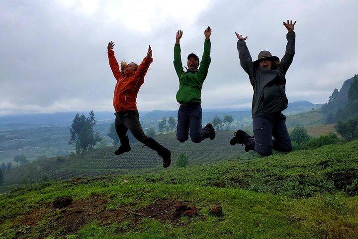 Os Gorilas Virunga do Congo e o Nyiragongo Hike Tour (4 dias / 3 noites)