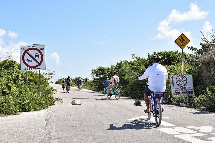 Excursão de bicicleta elétrica de meio dia no East Side de Cozumel com almoço