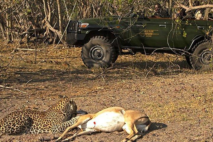 Safari im Jhalana Leopard Conservation Reserve, Jaipur
