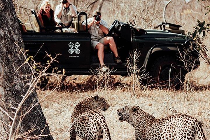 Safari im Jhalana Leopard Conservation Reserve, Jaipur