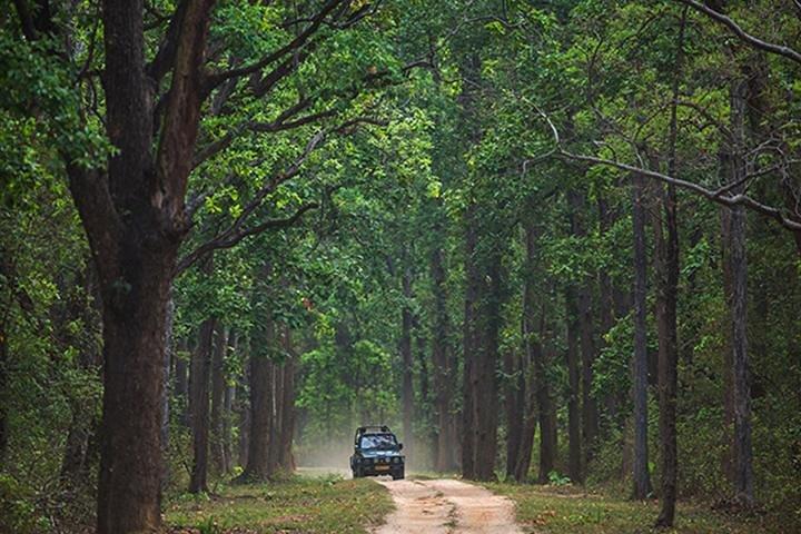 Safari im Jhalana Leopard Conservation Reserve, Jaipur