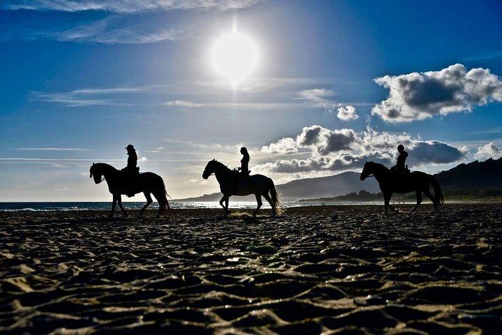 Reiten am Strand oder in den Bergen in Tarifa, Spanien - 1 bis 2 Std