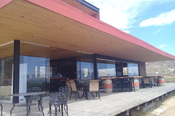 vinture og chaufførservice gennem Valle de guadalupe, Ensenada B.C. Mexico