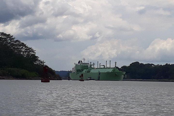 Panama City, Aventura en el Lago Gatún: Isla de los Monos