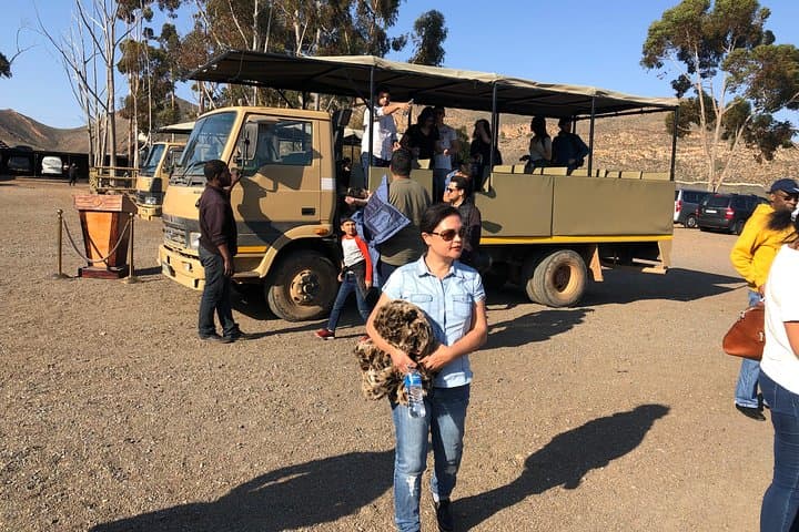 Shared Transfers to and from Safari Game Reserve (excluding entrance fees)