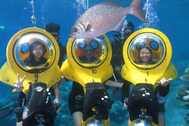 Dive Reefs