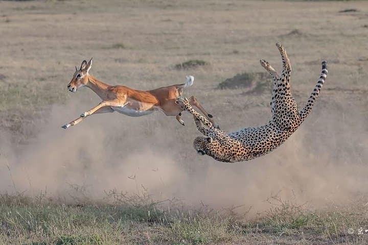 2 Days 1 Night Lake Nakuru National Park Tour