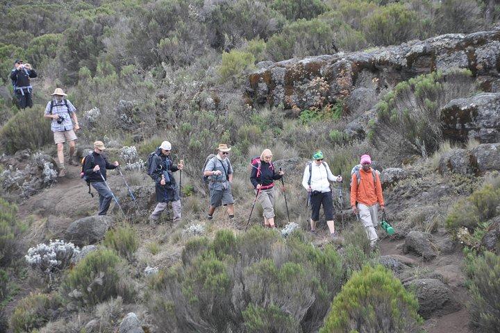 9-daagse Mount Kilimanjaro Climb Machame-route