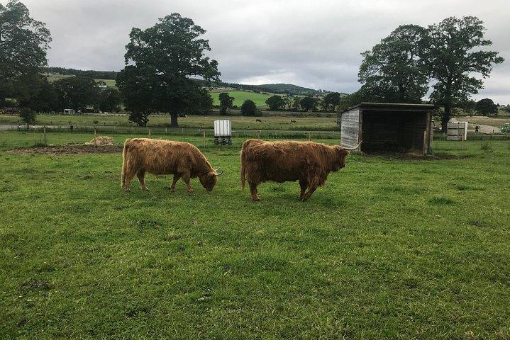 Campo de Batalha de Culloden, Clava Cairns e Loch Ness, Castelo de Urquhart