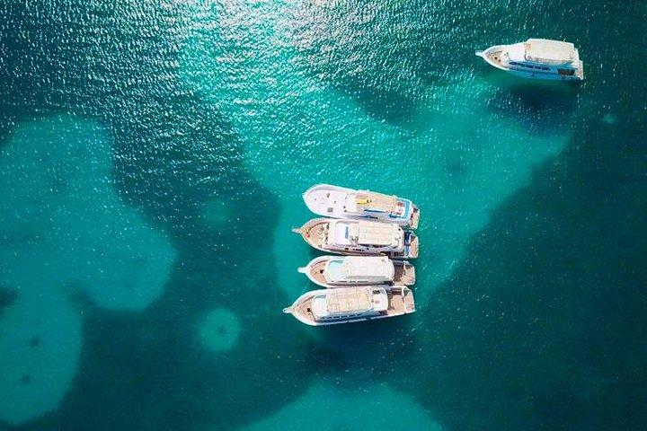 Hurghada snorkeltrip naar Orange Bay Island
