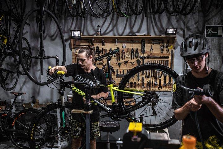 Malaga E-MTB-tur: Botanisk Have, Naturpark og Malaga Havn