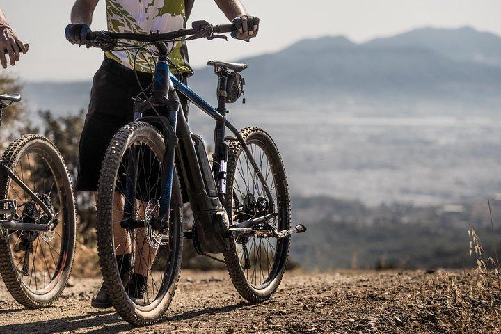 Malaga E-MTB-tur: Botanisk Have, Naturpark og Malaga Havn