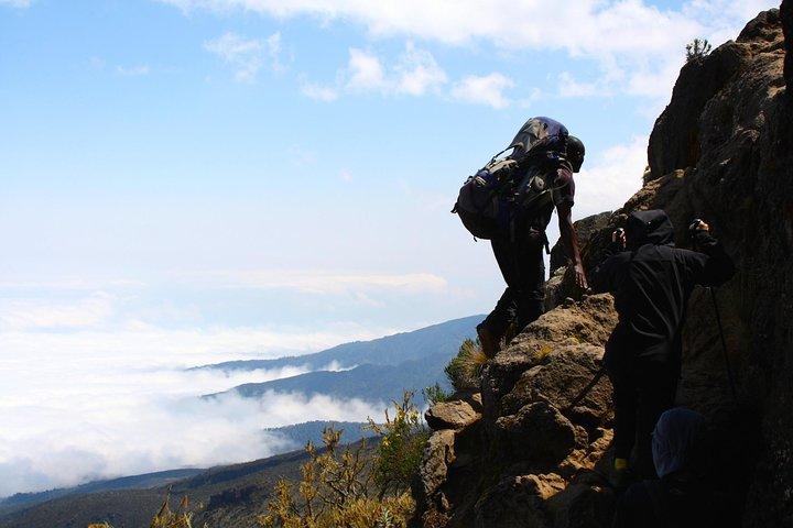 8 dagen Mount Kilimanjaro Northern Circuit