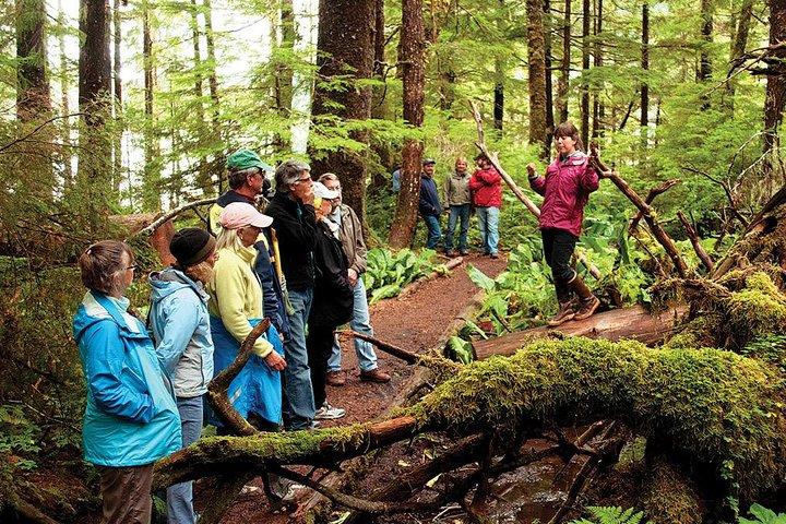 Ketchikan Rainforest Canoe og Nature Walk