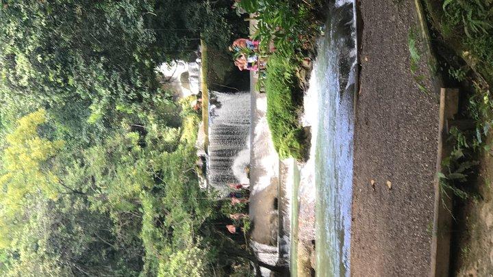 YS Falls Private Full-Day Adventure Tour met pick-up