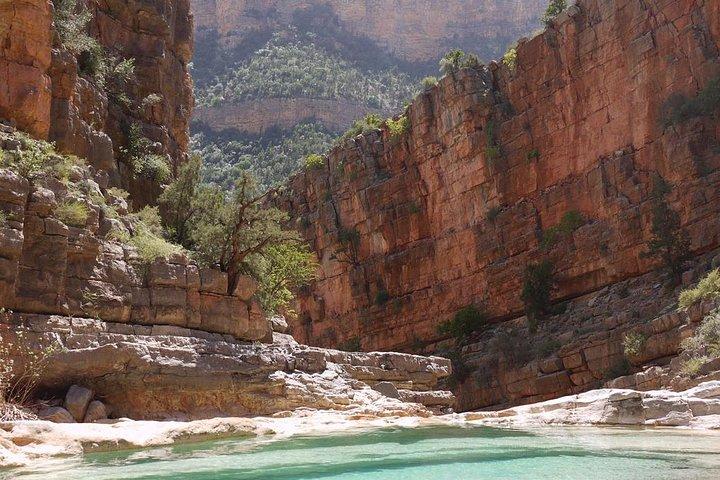 Paradise Valley