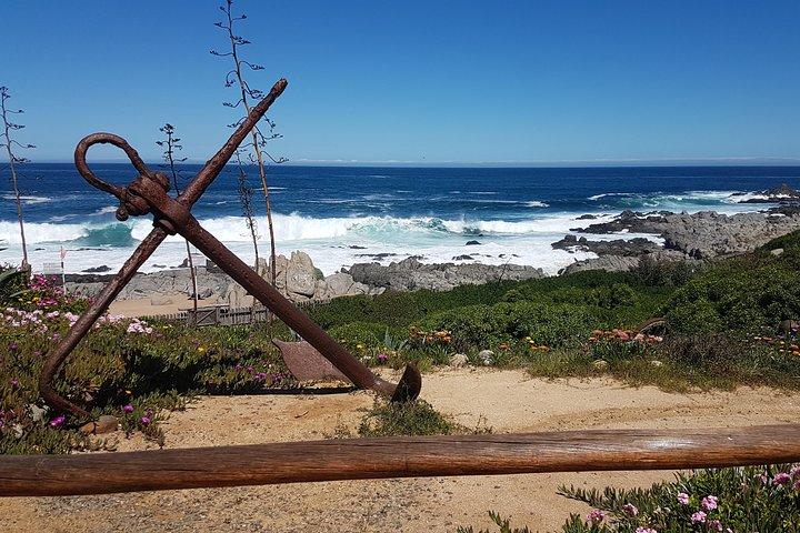 Isla Negra und Undurraga Weintour: Kunst und Verkostungen