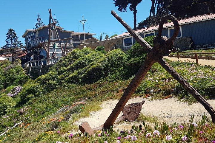 Isla Negra und Undurraga Weintour: Kunst und Verkostungen