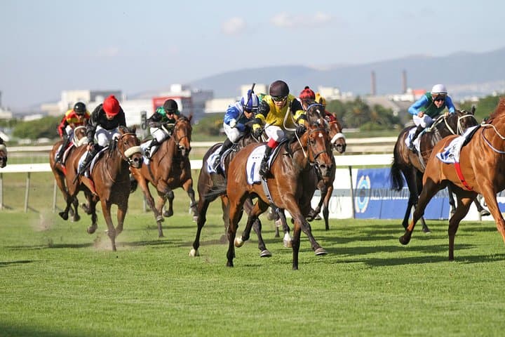 Kenilworth Raceday Tour