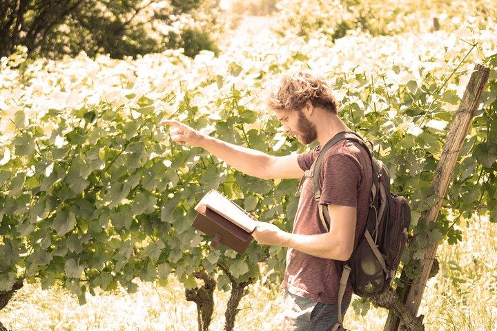 Privado: Outdoor Escape Game Tuniberg: Eduardo & o segredo do vinho