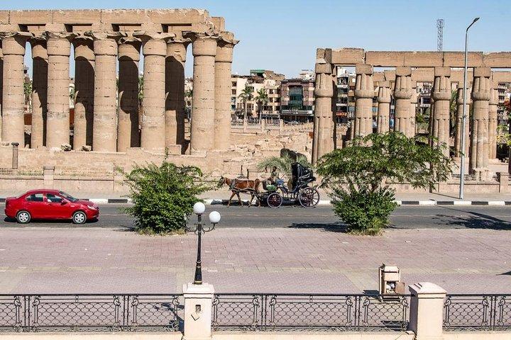 Luxor city tour by Horse Carriage, live & discover local life