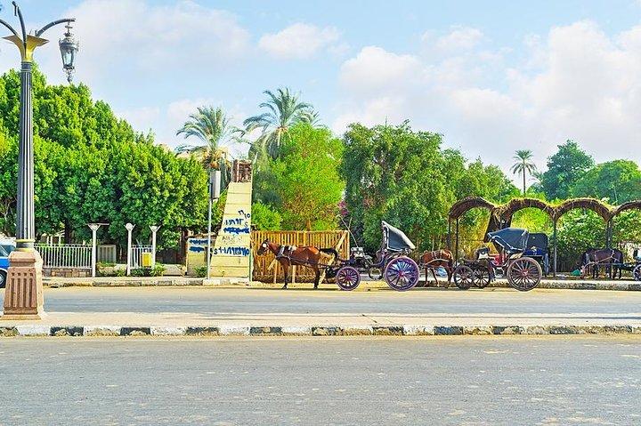 Luxor city tour by Horse Carriage, live & discover local life