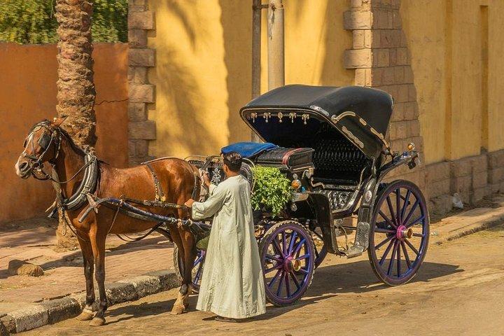 Luxor city tour by Horse Carriage, live & discover local life