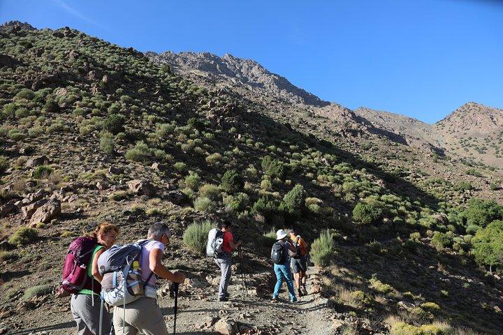 Day Excursion in the Atlas Mountains & lunch in local village
