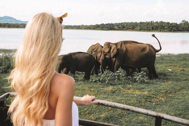 Instagramble Sri Lanka - 7 dias