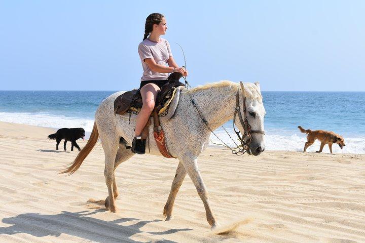 Combo de paseo a caballo por la playa y todoterreno en el desierto de Cabo con degustación de tequila