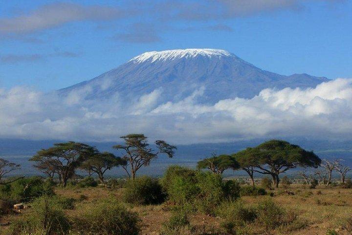 Machame 6 días de subida al Kilimanjaro