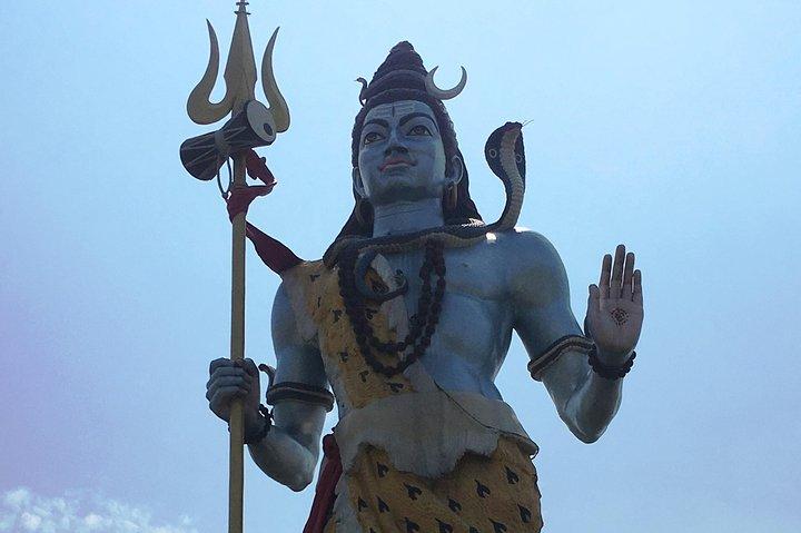 Tour privato per Haridwar e Rishikesh da Nuova Delhi