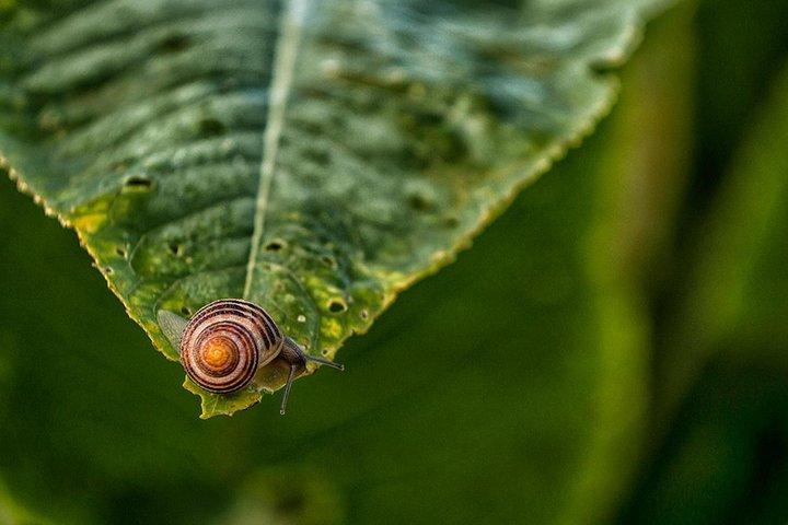 Oficina privada de fotografia em Estocolmo