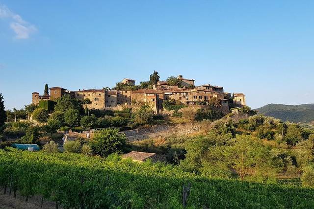 Castle Wineries