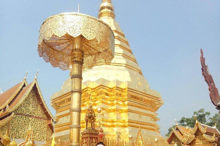 Visite privée de Chiang Mai avec plantation de thé, village karen, Doi Suthep