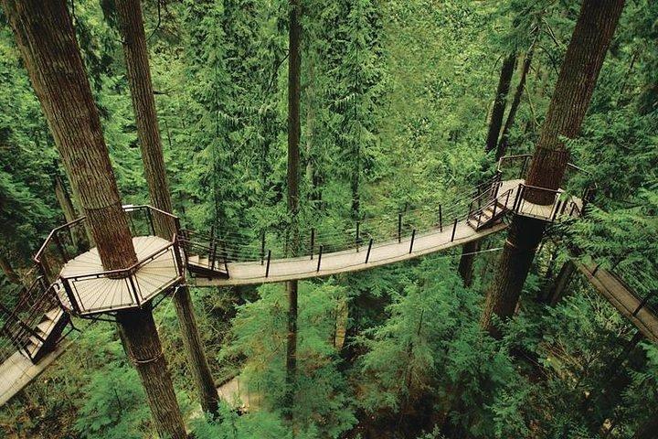 Le meilleur de Vancouver / Pont suspendu / Pizza Party Tour privée