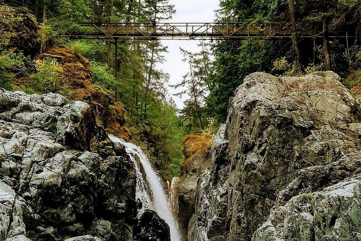 Cascate, Coombs e tour della foresta pluviale di Cathedral Grove